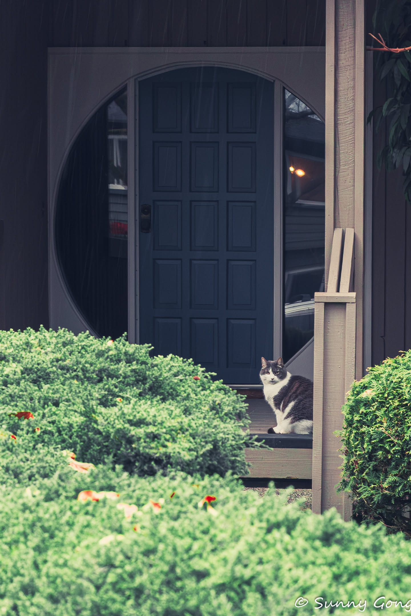 IMG_3194-Enhanced-NR