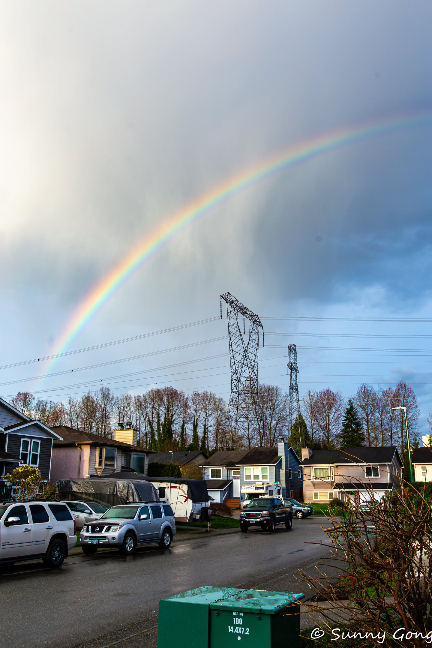 IMG_4028-Enhanced-NR